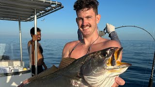 Cob and Cape Salmon aka Geelbek in Salalah Oman