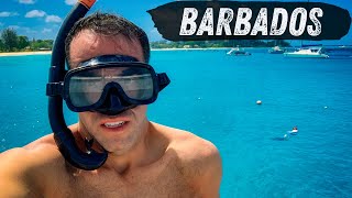 BARBADOS Caribbean PARADISE | 3 Reasons To Visit