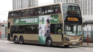 Hong Kong Bus KMB ATENU135 @ 259D 九龍巴士 Alexander Dennis Enviro500 MMC 油塘總站 - 屯門（龍門居）