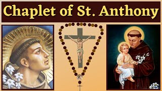 Chaplet of St Anthony of Padua (For 13 Petitions & Favors)