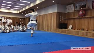 Arimoto Sensei JKS Shotokan Gankaku kata: JKS International Seminar 2019