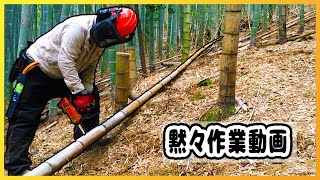 【作業用動画】斜面の竹林を切り拓く！チェーンソーで開拓作業の70分！【放置竹林拡大防止PJT】