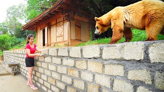 Building Embankment And Pour Concrete Yard, BUILD LOG CABIN | Nhất New Life