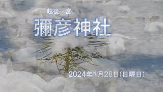 弥彦神社2024年