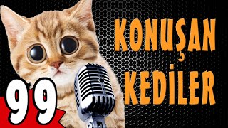 Konuşan Kediler 99 - Komik Kedi Videoları