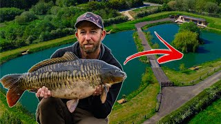 Lake Exclusive | Mark Pitchers| Carp Fishing Rewind
