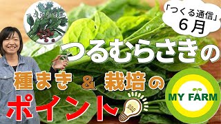 つるむらさきの育て方を徹底解説！種まきのコツや支柱ありorなしの栽培方法もしっかり解説【つくる通信6月のタネ】