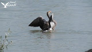 Cicloturismo e Birdwatching: da Ferrara alle Vallette di Ostellato