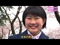 【さくらんぼテレビ】「やまがた桜図鑑」＃１６　金山町（中学校前の桜並木）