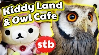 Kiddy Land and Owl Cafe Tour in Harajuku, Tokyo