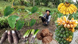 PAGLILINIS NG AMING TANIM NA GABIHAN PAGHAPAY NG SAGING