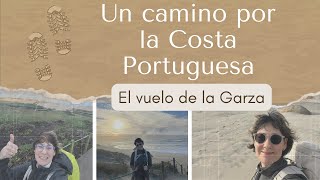 El vuelo de la Garza: Un camino por la Costa Portuguesa | Camino de Santiago | Mónica Garza