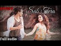 Sab Tera ❣️ [ BAAGHI ] | full audio song