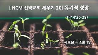 [ NCM 신약 교회 세우기 20 ]  유기적 성장