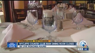 Roaches Close Down High End Restaurants