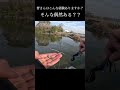 ジグストしてただけなのに…【バス釣り】 釣り バス釣り shorts