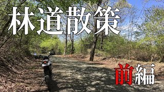 【WR250R】埼玉・ときがわ周辺の山々で林道散策ツーリング・前編：萩平笠山線【Motovlog】