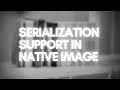 How Serialization Works in GraalVM Native Image