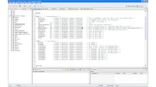 C2000 One-Day Workshop Module 07: Flash Programming