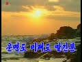 【北朝鮮音楽】운명도 미래도 맡긴분（運命も未来も委ねた方）牡丹峰楽団