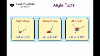 Angle Facts - Primary