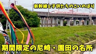 【尼崎市】今年はいろいろな願いを込めて…小中島こいのぼりフェスティバル