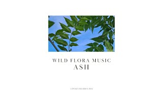 Wild Flora Music   Ash