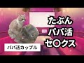 【人間動物園】カラオケ正社員の日常