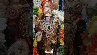 Tirumala Balaji Status 🙏 Govinda Status | Saturday Balaji Status Lord Venkateswara Strotram 🙏 HDM