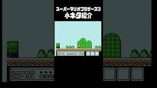 【マリオ3】これ・・・知ってます？（黄金のプチパックン！）【スーパーマリオブラザーズ3】 #マリオ3 #スーパーマリオブラザーズ3 #mario3