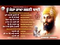 New Shabad Gurbani Kirtan 2024 JUKEBOX - Tu Mera Rakha Sabhni Thai  - Nonstop Gurbani Kirtan 2024