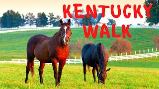 Kentucky Walk | 30 Minute Scenic Walking Workout