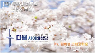 24/04/22 김희성 그레고리오 신부 주일미사 강론 : (백) 부활 제4주일 (성소 주일)