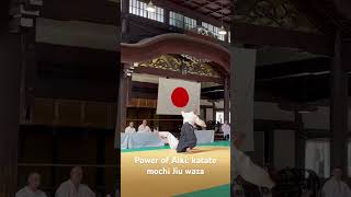 Ryan Slavin (5Dan) Butokuden, Kyoto 2023: katate mochi Jiu waza