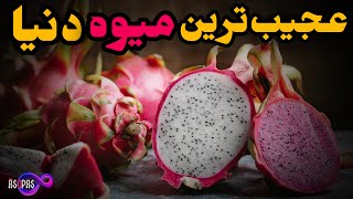 گرانترین میوه های دنیا : 10 تا عجیب ترین میوه های دنیا رو حتما بخور