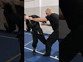 hicho kihon gata basic u0026 variations gyokko ryu kosshijutsu ninjutsu shadowwarrior bujinkan