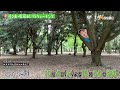 「代々木公園・東郷神社」編【バナナマン日村が歩く！ウォーキングのひむ太郎】