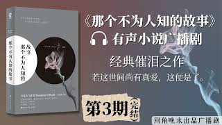 《那个不为人知的故事》第3期（完结）广播剧 | 经典催泪高分口碑佳作 | 有声小说广播剧