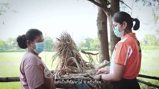 สกู๊ปพชแก้จน-ep2-พิจิตร