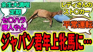 『アドマイヤジャパン、年上牝馬のケツに擦り寄る』に対するみんなの反応【ウマ娘プリティーダービー 競馬の反応集 スカーレットレディ】