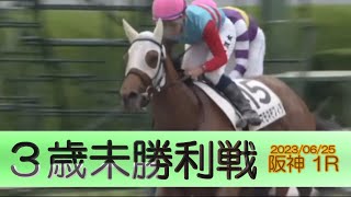 2023/06/25【パドック返し馬つき】阪神1R　３歳未勝利戦　☆タマモネモフィラ　パイロ　　＃レースは11分ころから