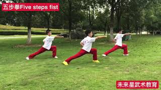 《五步拳Five steps fist》冷先锋编著（中英文版）