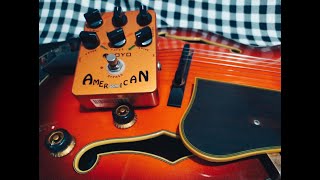 Joyo American Sound with Jazz Box (Ibanez AFJ91)