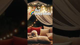 Relaxing Summer Night Music for Dogs ♬ Bichon Frise Enjoying Soothing Sounds of Crickets