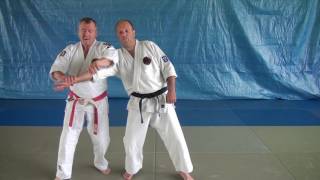 ude gatame