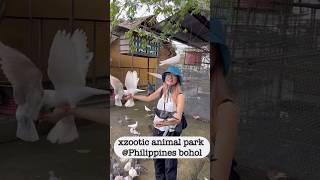 필리핀 보홀 동물원. Philippines bohol xzotic animal park