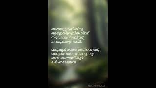 കുറച്ച് കൂടി കിട്ടിയിരുന്നെങ്കിൽ #islamicvisuals #islamicshorts #islamic_whatsapp_status