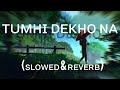 Tumhi dekho Naa(slowed & reverb).u r alone and its raining.lofi