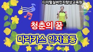 🎀패트병 마라카스 율동🎀실버체조 청춘의 꿈