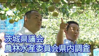 茨城県議会農林水産委員会県内調査（平成29年8月9日）